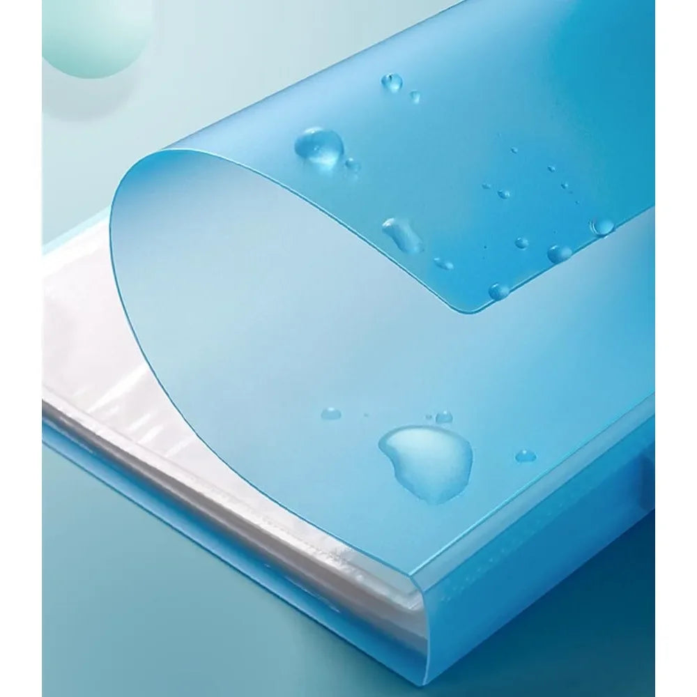 Art Portfolio Folder with Handle and Clear Sleeves 60 Pockets Display 120 Pages Plastic Painting Presentation Storage
