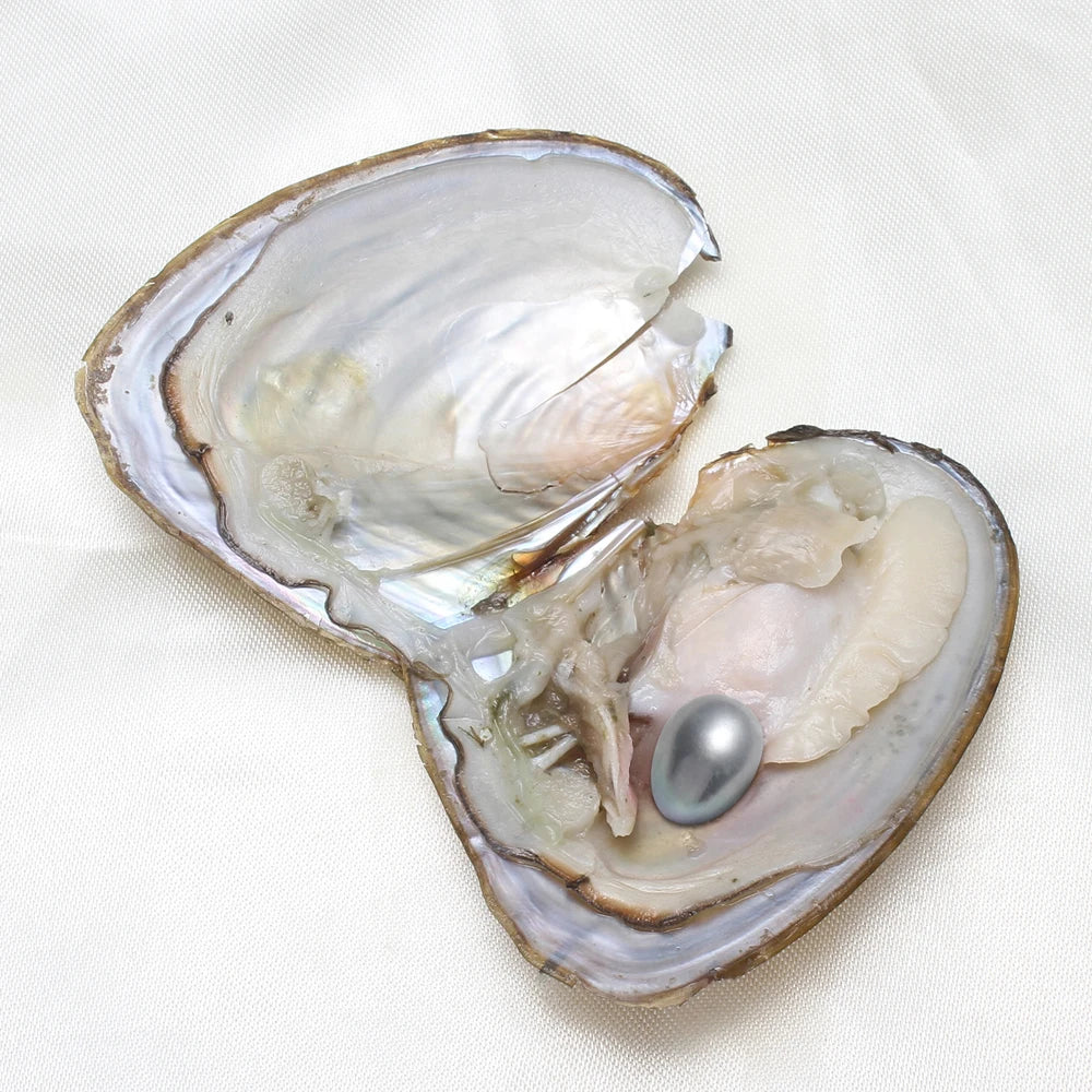7-8MM AA+ Single Oyster Beautiful & Interesting Nature