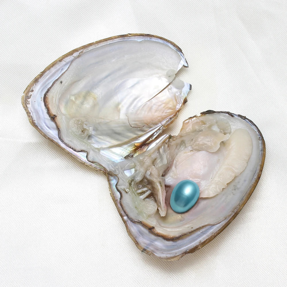 7-8MM AA+ Single Oyster Beautiful & Interesting Nature