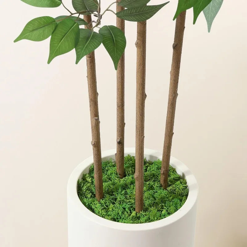 Ficus Artificial Tree  Silk Plant 5 ft Fake White Imitation Ceramic Planter with Green