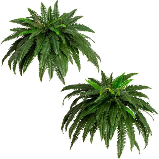 48-in Artificial Boston Fern, Large Hanging 67 Fronds, Faux Fern  L00ks Real